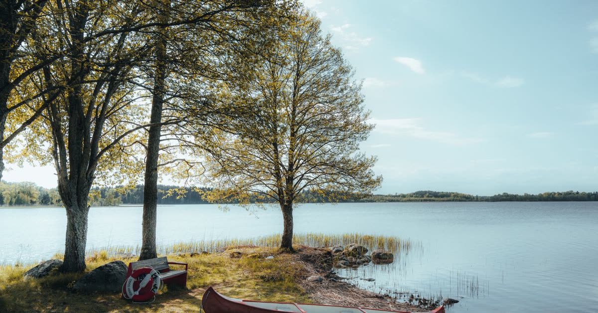 Kanadyjka na brzegu jeziora pod drzewami